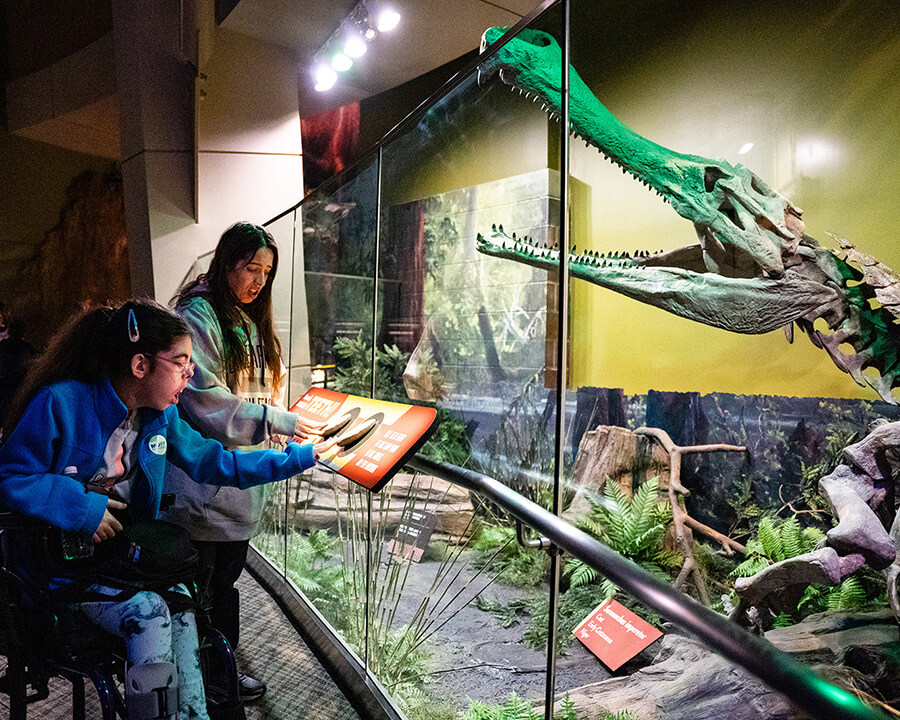 Dinosaur exhibit at the Children's Museum